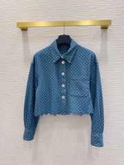 Louis Vuitton/26FW new denim denim jacket