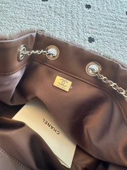 Chanel 2026 Hobo Bag Brown Ponyhair