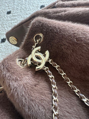 Chanel 2026 Hobo Bag Brown Ponyhair